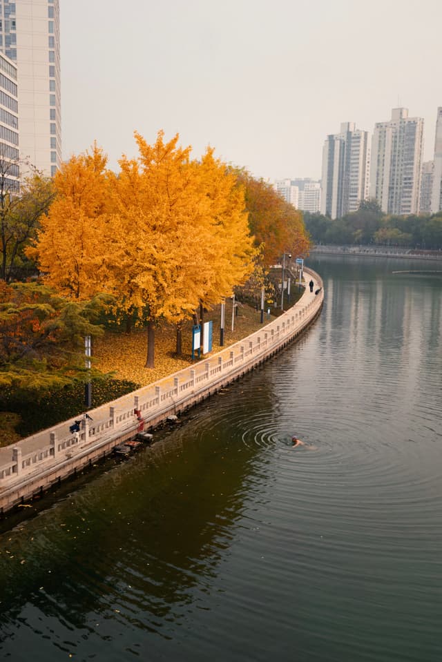 海淀，万寿路，野泳