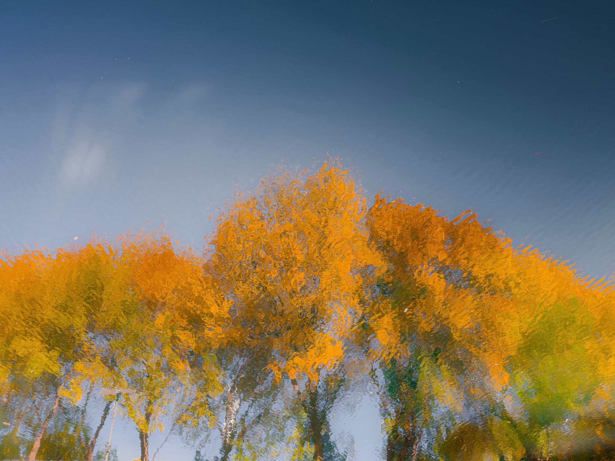 海淀，元土城遗址公园，金光熠熠