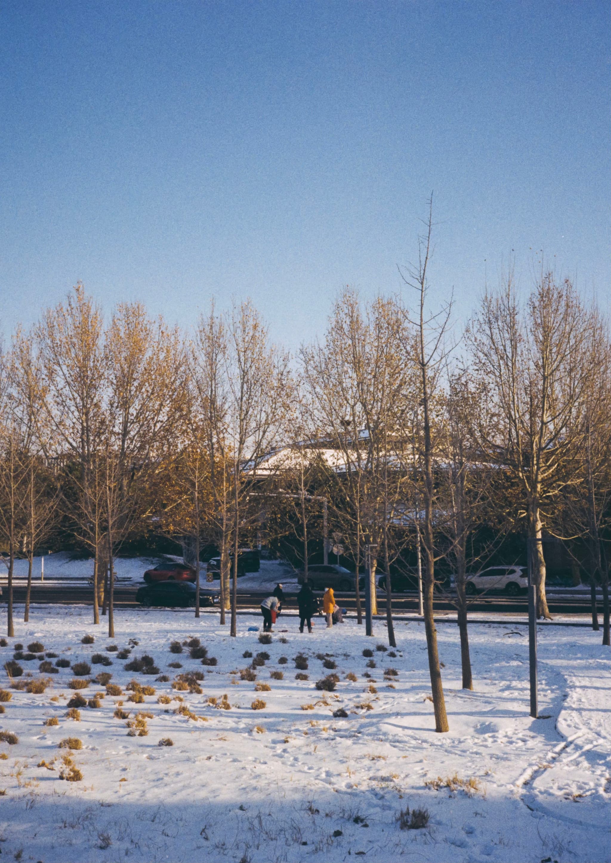 海淀，百旺公园，雪后