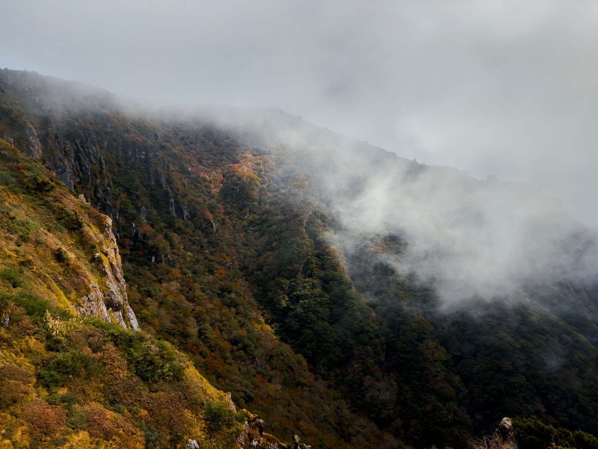 济州，汉拿山，林雾