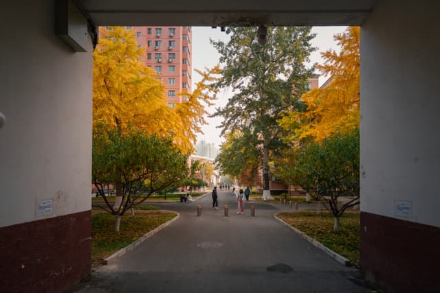 朝阳，中国传媒大学，门洞