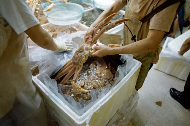 大连，桃源市场，蟹