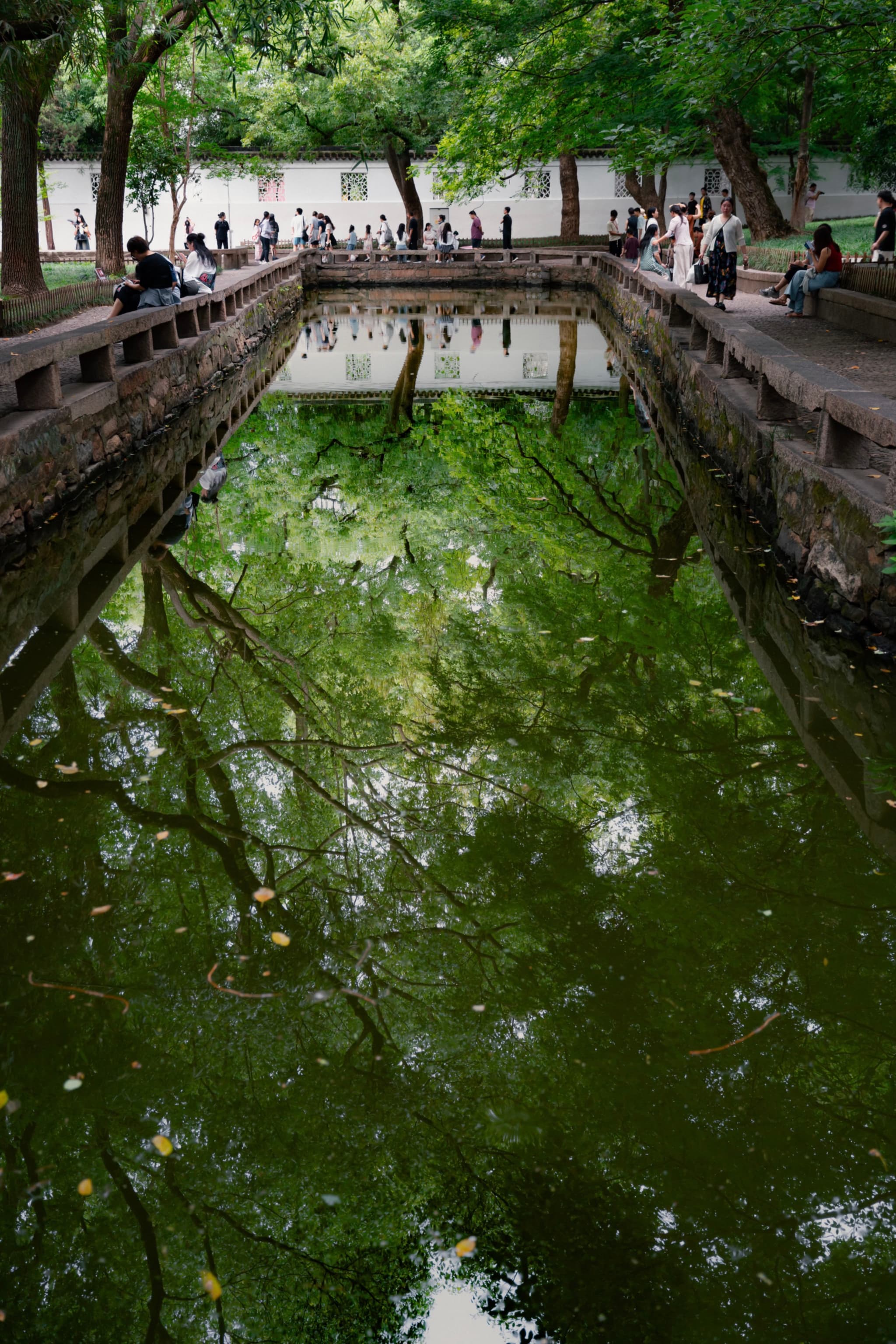 苏州，西园戒幢律寺，水中森林