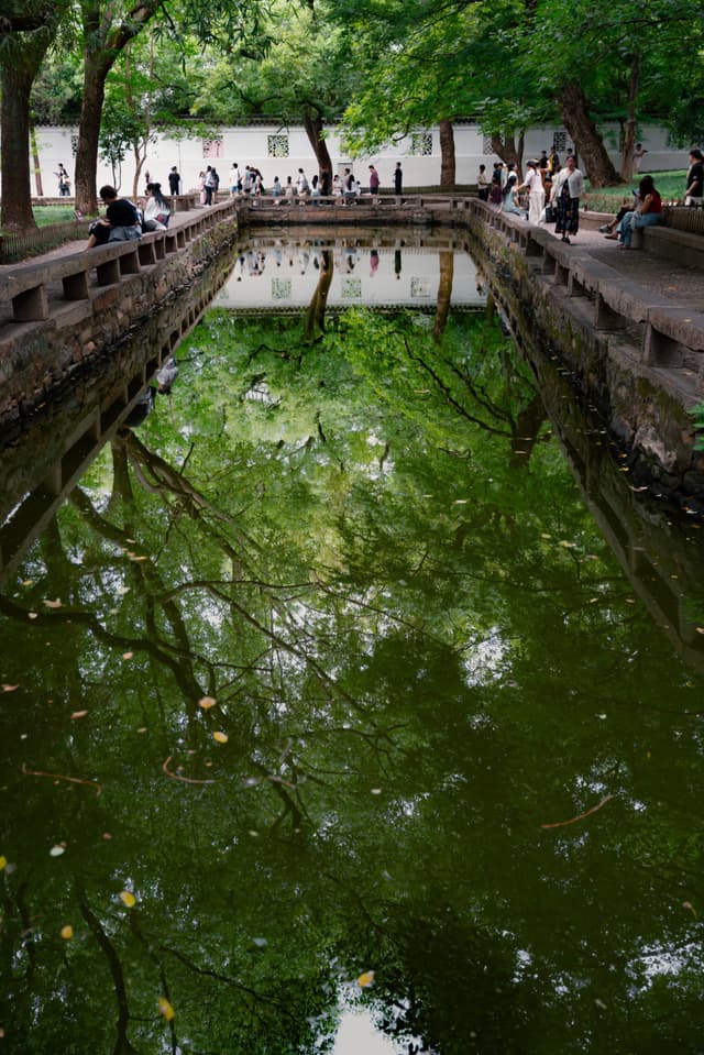 苏州，西园戒幢律寺，水中森林