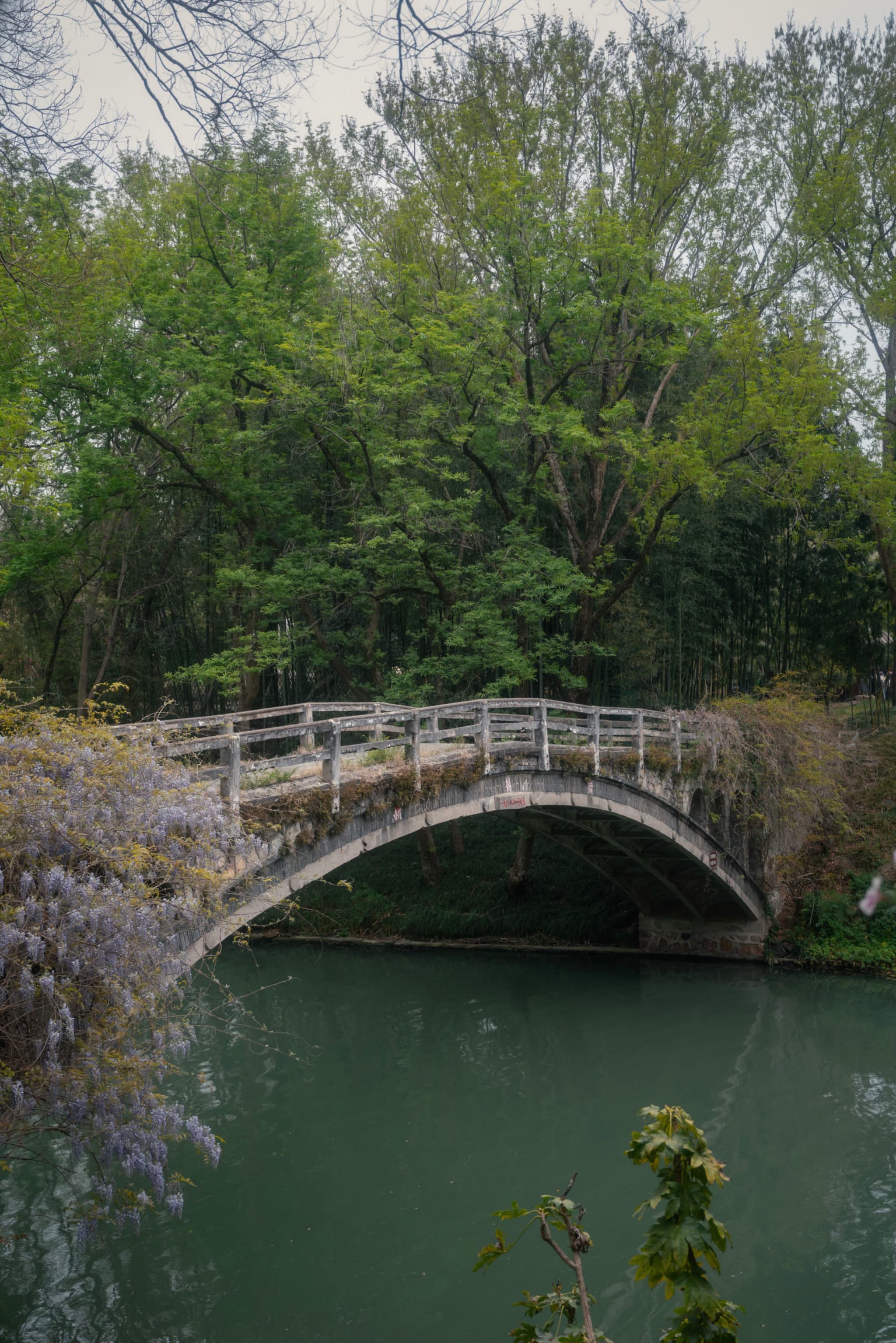 扬州，瘦西湖，桥