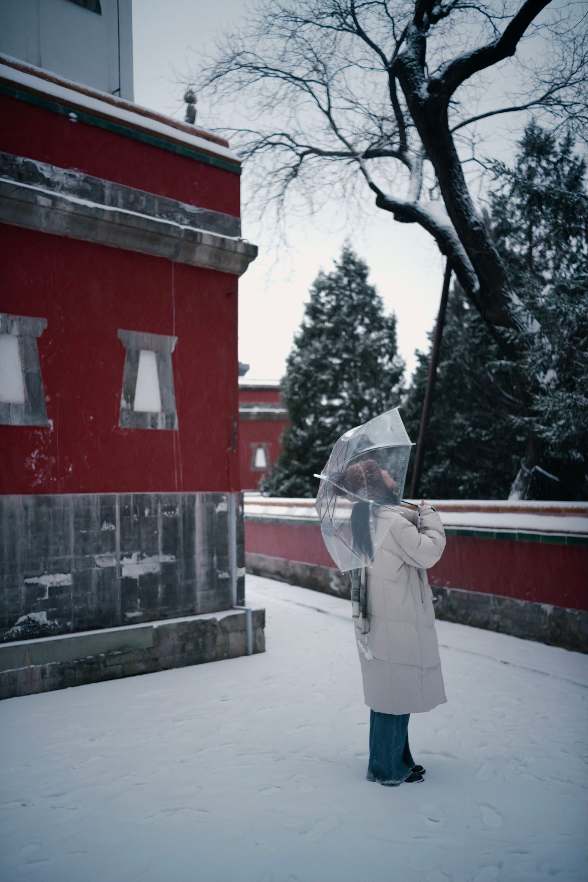 海淀，颐和园，四大部洲之雪