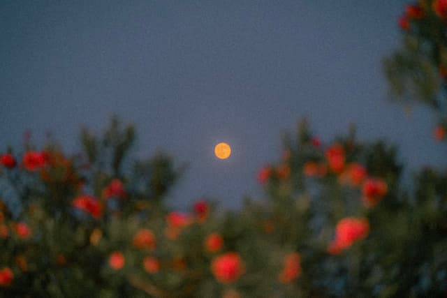 厦门，一国两制沙滩，花好月圆