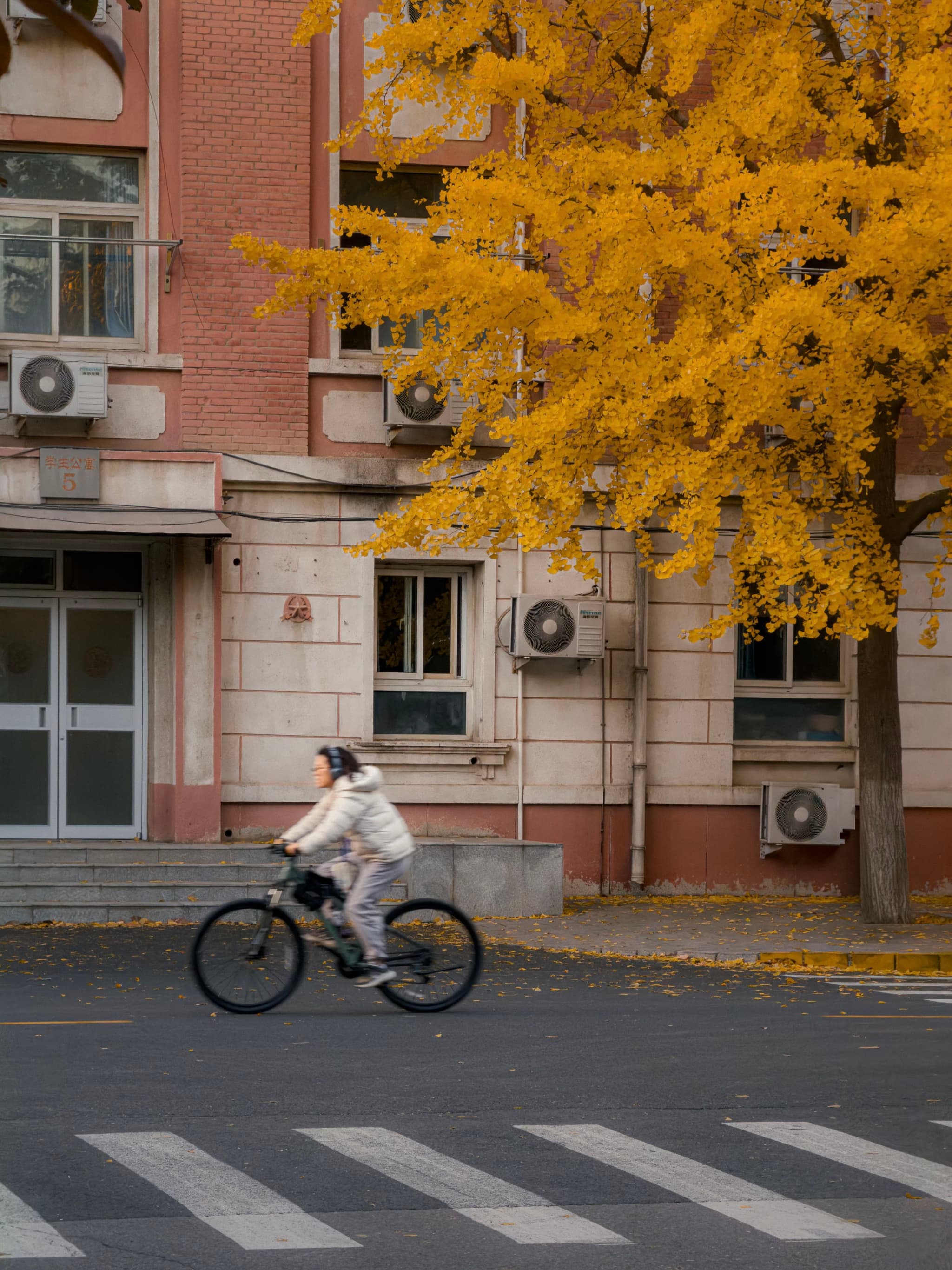 海淀，中国农业大学，骑者